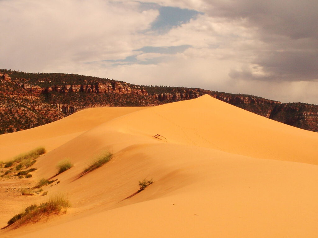 Coral Pink Sand Dunes