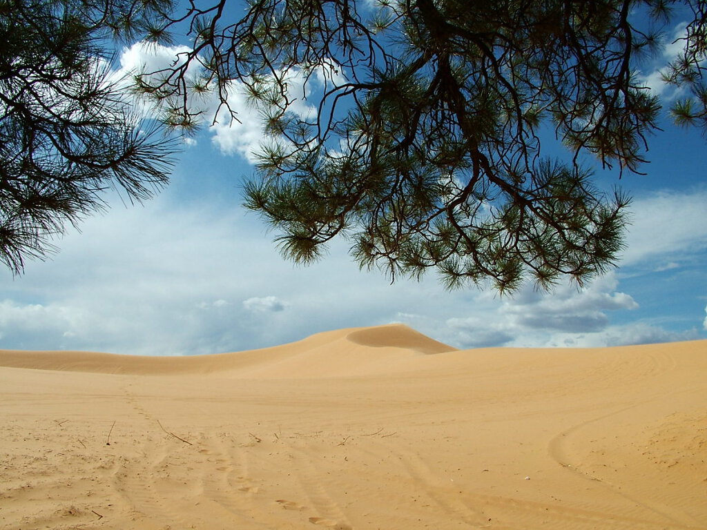 Coral Pink Sand Dunes