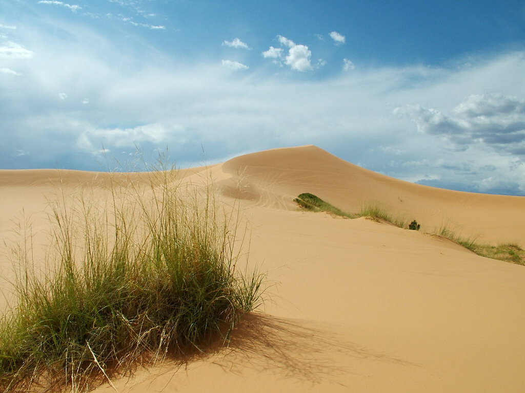 Coral Pink Sand Dunes