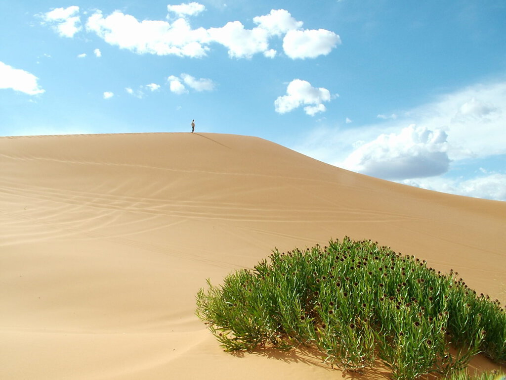 Coral Pink Sand Dunes