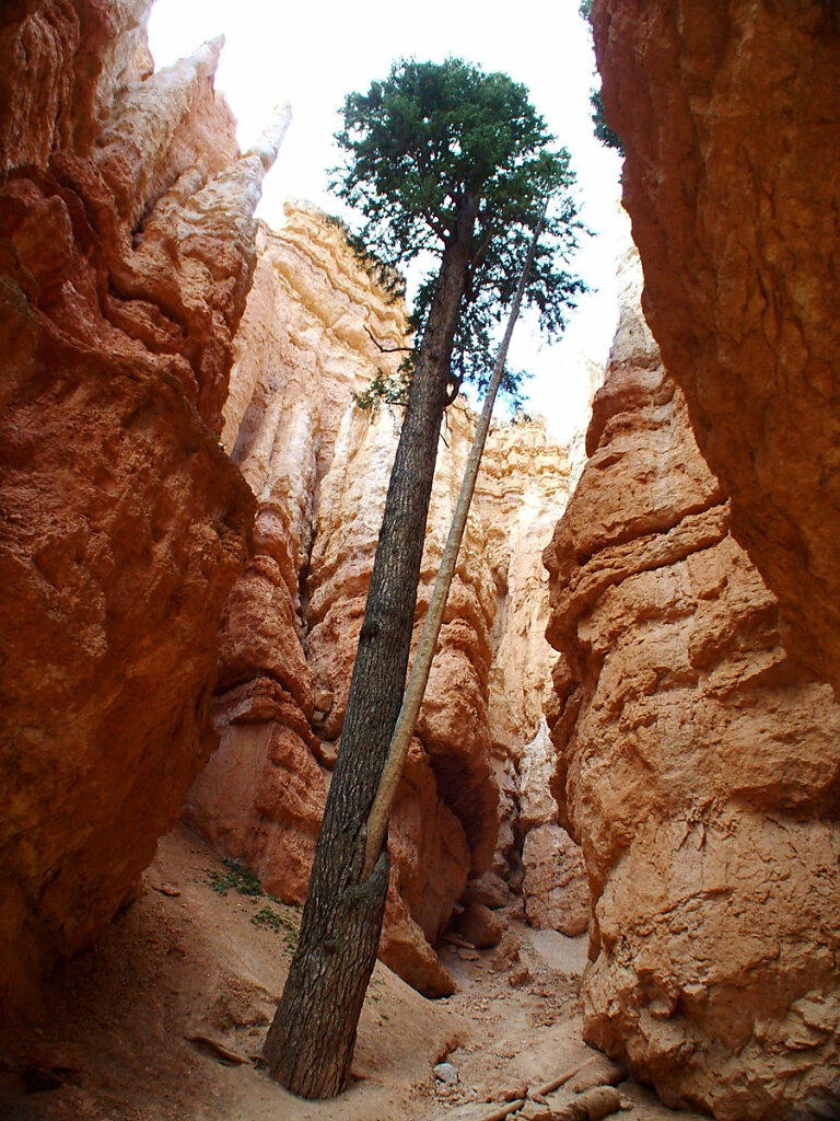 Bryce Canyon