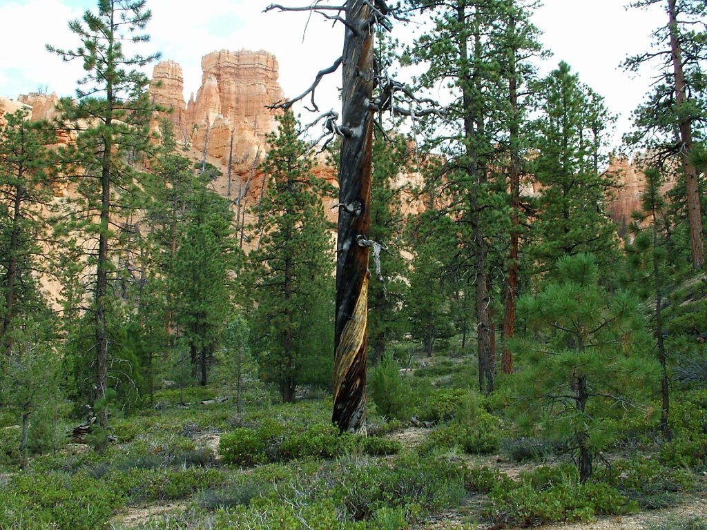 Bryce Canyon