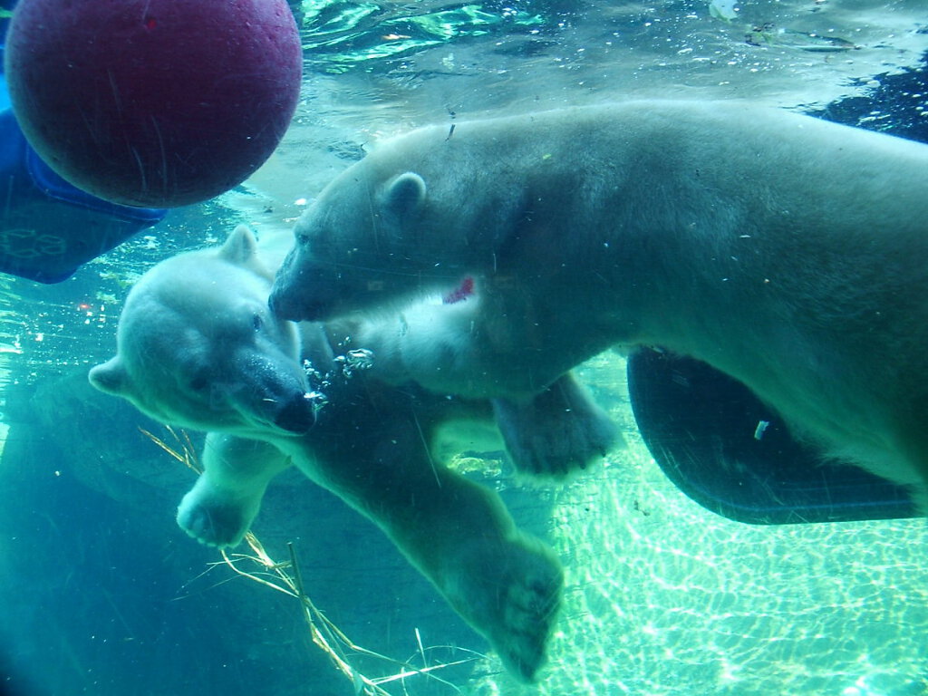 San Diego Zoo